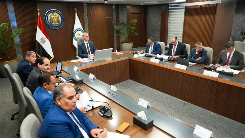 وزير البترول والثروة المعدنية