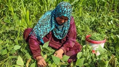 برمهات يبدأ بعد أيام قليلة.. شهر الخير الذي ينتظره الفلاحون