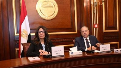رسائل من قلب مجلس الشيوخ.. نقاش خاص حول قوة مصر الناعمة