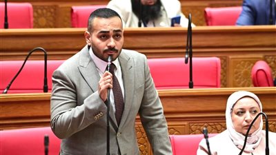 طلب إحاطة للحكومة بشأن تكرار استراتيجيات تطوير الصناعة دون تقييم واضح للنتائج