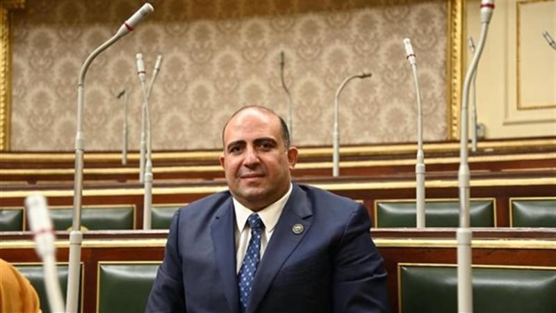 د الدكتور محمد سليم وكيل لجنة الشئون الافريقية بمجلس النواب