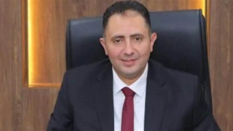 الدكتور حسام الدين فوزى