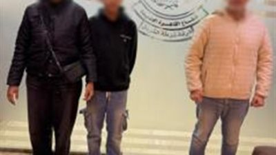 بعد التعدي على كلب ضال.. مشاجرة بين طالب وشخص أجنبي في القاهرة