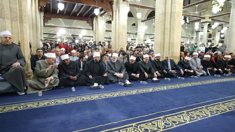 جانب من الفعاليات 