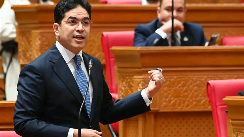  ضياء الدين داوود عضو مجلس النواب 