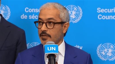مندوب الإمارات بالأمم المتحدة: سنتخذ كل الإجراءات لحماية أمننا وسيادتنا