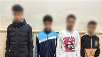 التحقيقات تكشف تفاصيل فبركة واقعة التعدي على كلب بالسويس لزيادة المشاهدات