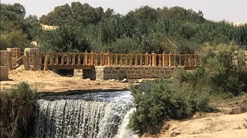 وادي الريان