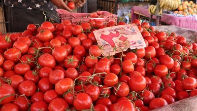أسعار الخضروات والفاكهة في سوق العبور لتجارة الجملة اليوم السبت 28-3-2026