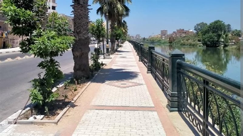 دمنهور