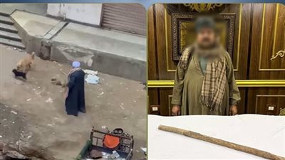 لتعديه بالضرب على الكلاب الضالة في الجيزة.. حارس عقار يواجه هذه العقوبة