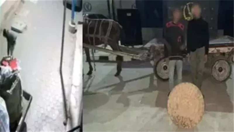 المتهمين