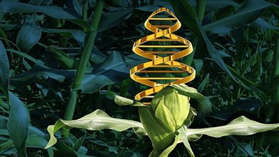  خطوة قد تغيّر مستقبل الزراعة.. علماء يطورون نباتات قادرة على تسميد نفسها 