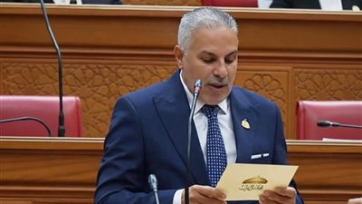 مصطفى البنا: التضامن العربي ضرورة.. ومصر تقف دائمًا إلى جانب أشقائها في المنطقة