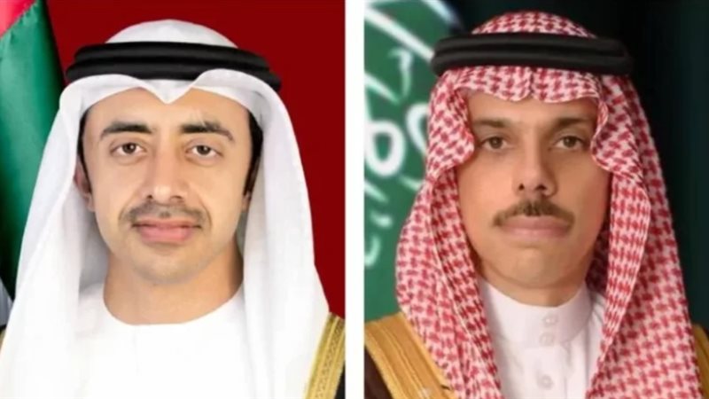 وزير الخارجية السعودي ونظيره الإماراتي