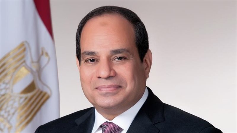 الرئيس السيسي 