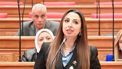 برلمانية تتقدم بطلب إحاطة لمراجعة وزيادة المعاشات استجابةً لمطالب المواطنين