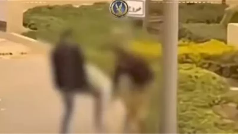 مشهد من الواقعة 