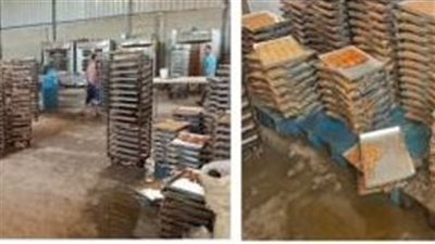 بعد ضبط مصنع بدون ترخيص لإنتاج الكعك والبسكويت بمنتجات مجهولة بالقاهرة.. وهذه عقوبة صاحبه