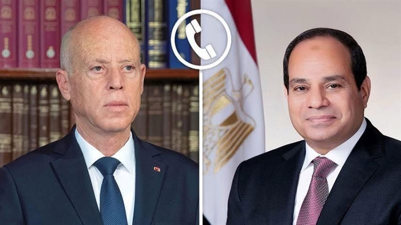 الرئيس السيسي ونظيره التونسي