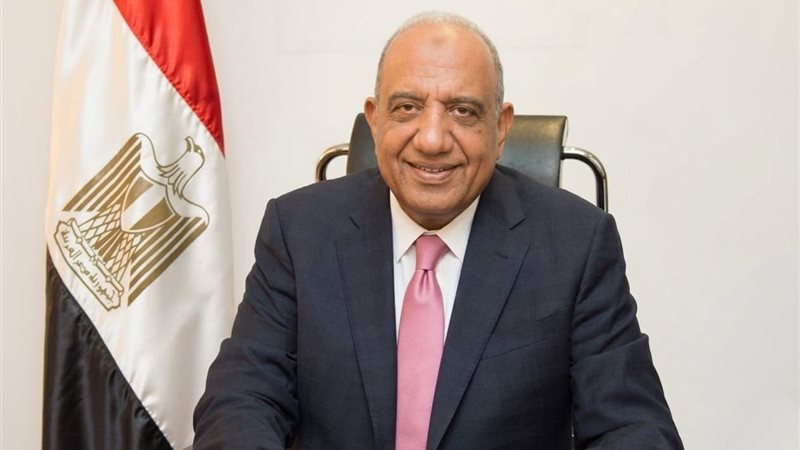 الدكتور محمود عصمت وزير الكهرباء