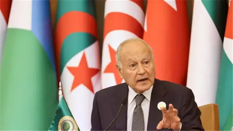 أحمد أبو الغيط 