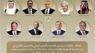 وزير الخارجية يواصل اتصالاته المكثفة مع الأطراف الإقليمية والدولية لخفض التصعيد