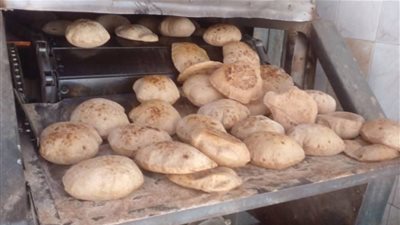 حملات تموينية مكثفة بالقليوبية تضبط مخالفات بالمخابز وبدالي التموين