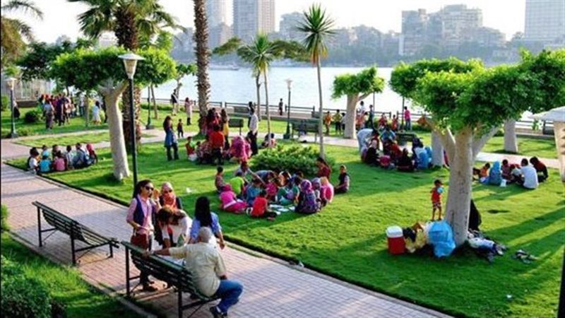 أرشيفية 