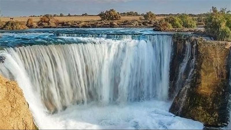 تعبيرية