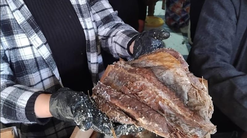 جانب من الحملة 