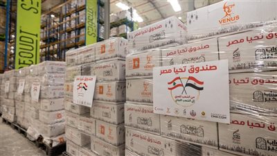 مصر تُرسل نحو 1000 طن من المساعدات الإغاثية العاجلة إلى لبنان 
