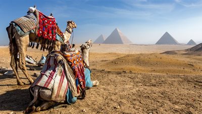 الحكومة تستثني المطاعم والمقاصد السياحية من قرارات ترشيد الطاقة