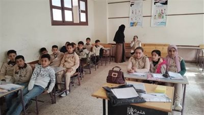 من الجيزة إلى دمياط.. مبادرة 