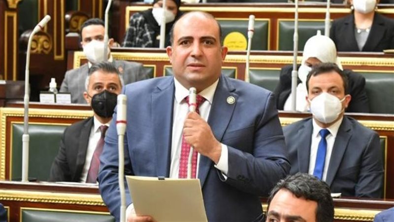  الدكتور محمد سليم، عضو مجلس النواب