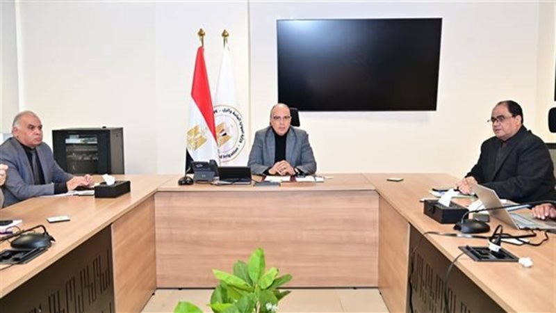 وزير الري هاني سويلم