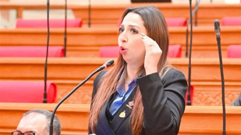 النائبة نشوى الشريف، عضو مجلس النواب 