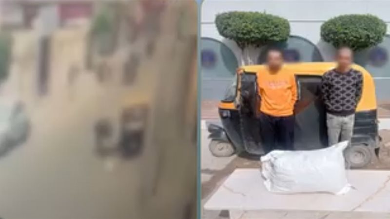 المتهمين 