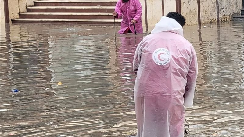 صورة توضيحية 