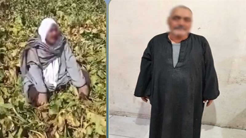 المتهم 