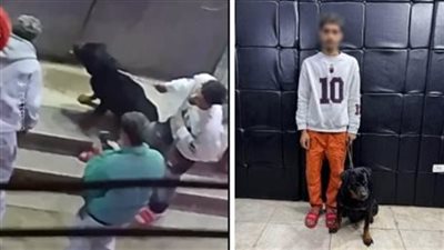 ضبط عنصر جنائي بالقاهرة بعد توجيه كلب لإرهاب المارة في فيديو مثيرللجدل