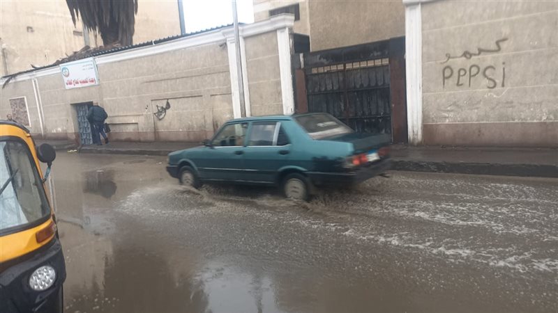 صورة توضيحية 