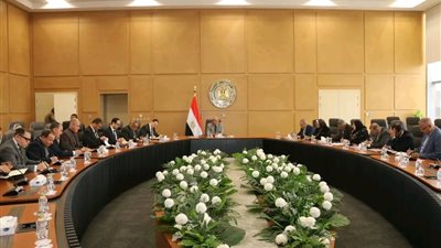 وزير الكهرباء يكشف خطة الاستعداد للطوارئ وترشيد الوقود.. والعمل عن بُعد للقطاعات الإدارية