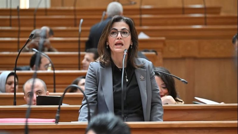 النائبة نيفين إسكندر