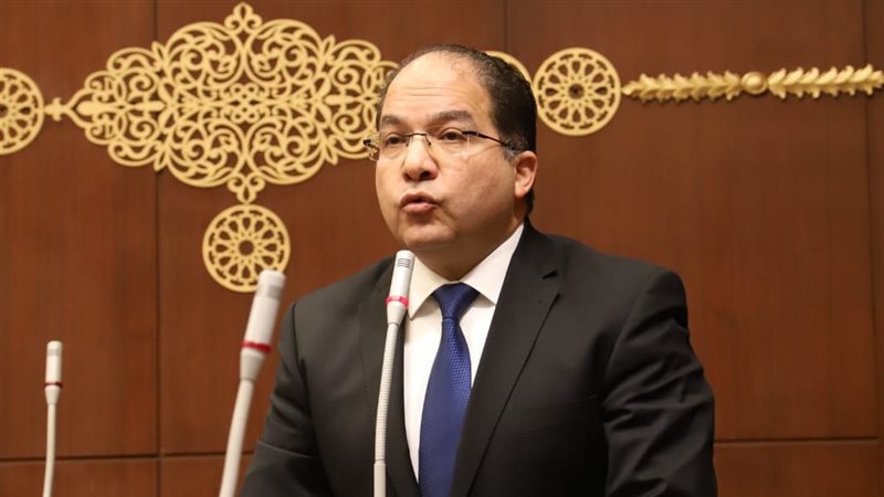 النائب عادل اللمعي عضو مجلس النواب