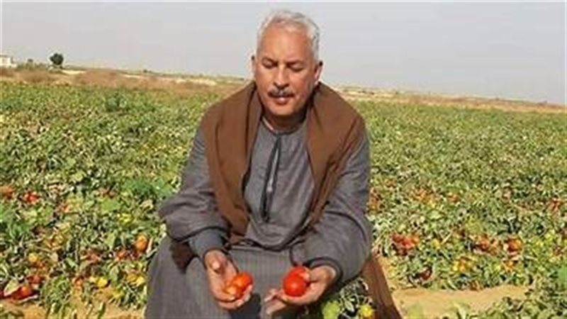 نقيب الفلاحين