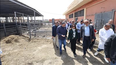 قرارات حاسمة تهز الإسكندرية.. كواليس إقالة مفاجئة بعد جولة ميدانية بالعامرية