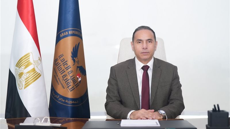 رئيس الهيئة العامة للرقابة المالية
