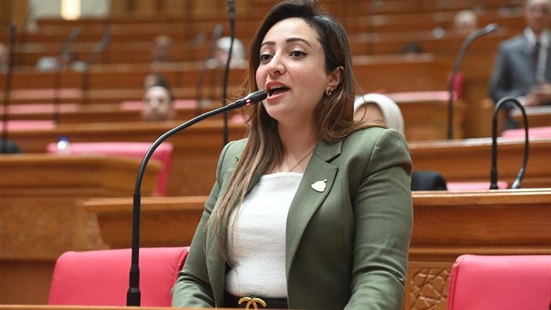  النائبة كريستينا عادل
