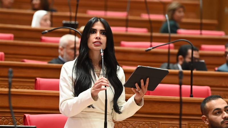 النائبة هايدي المغازى
